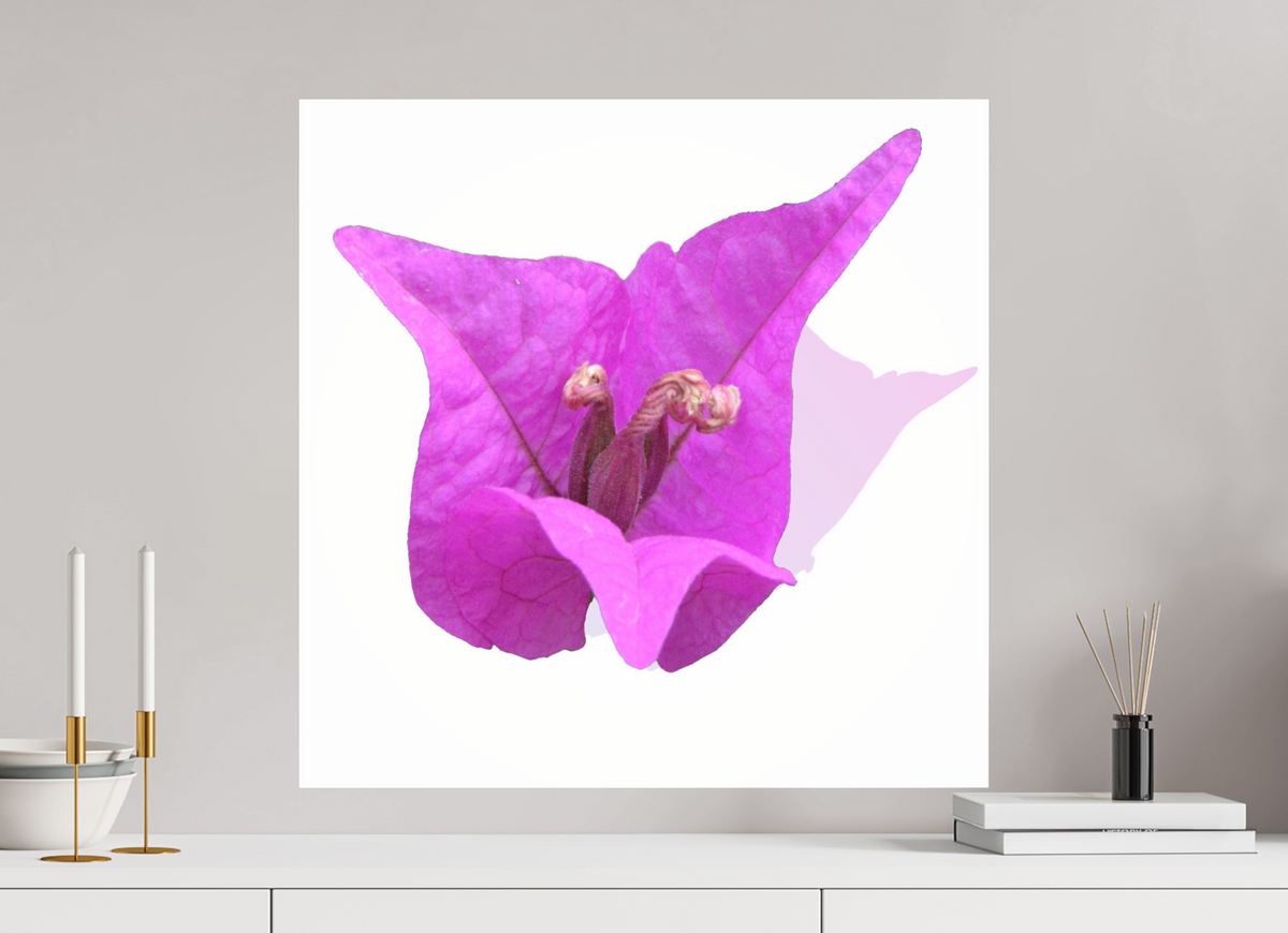 60 x 60 cm, Photo Print Under Acrylic Glass 330 Rosa Dreispitz
