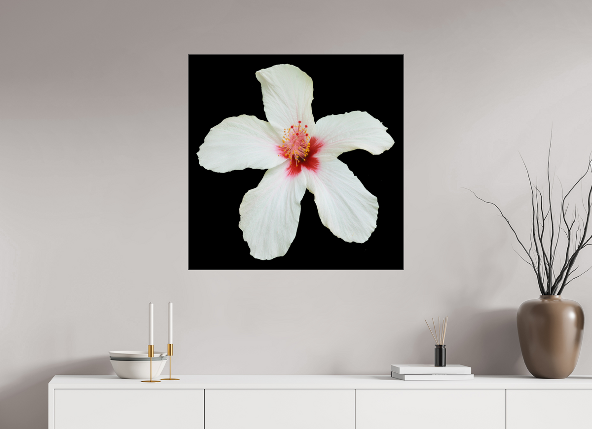 80 x 80 cm, Foto hinter Acryl Glas glänzend, Slim Line schwarz 362 Hibiskus