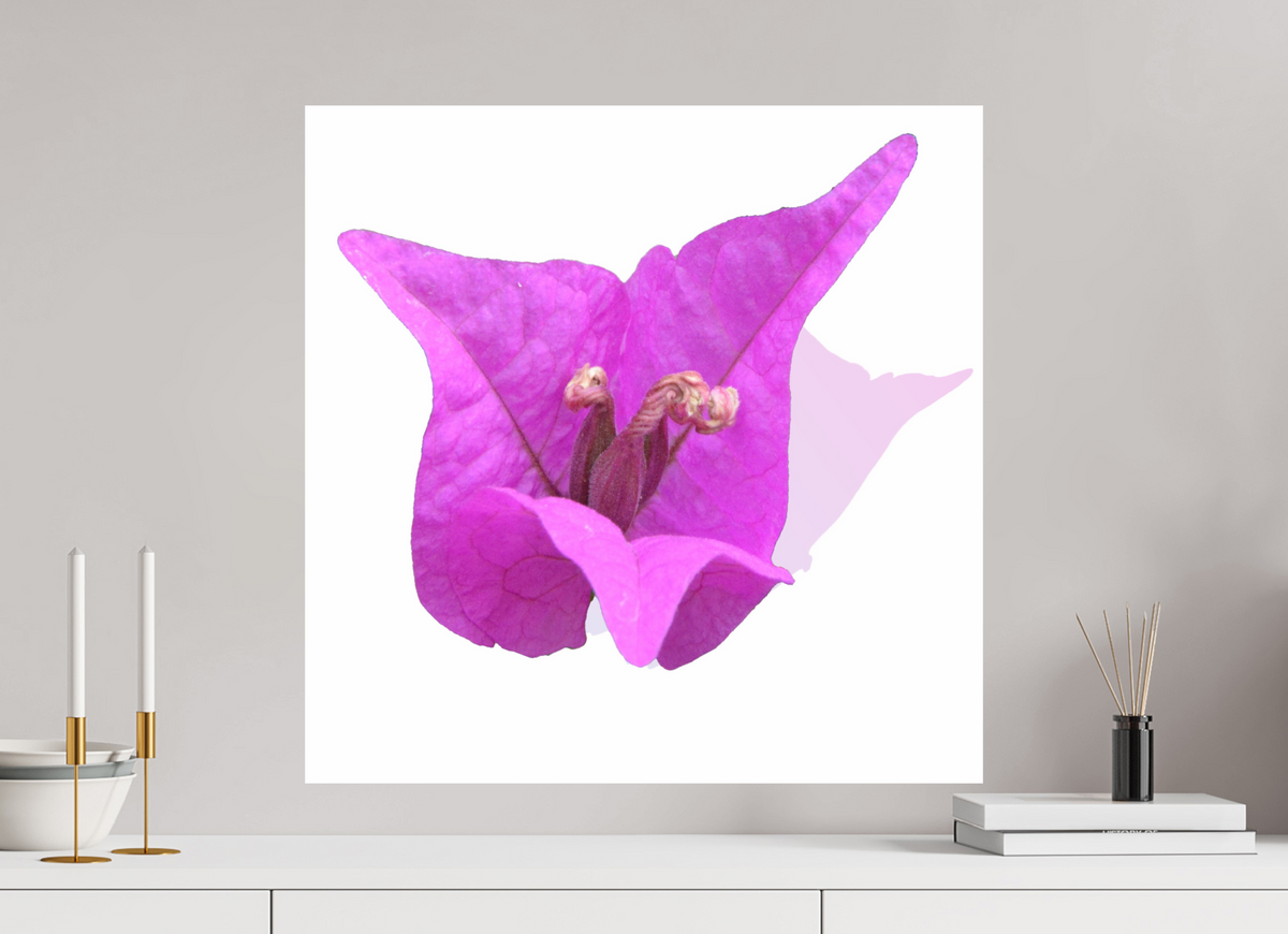 60 x 60 cm, Photo Print On Fuji Crystal DP II 330 Rosa Dreispitz