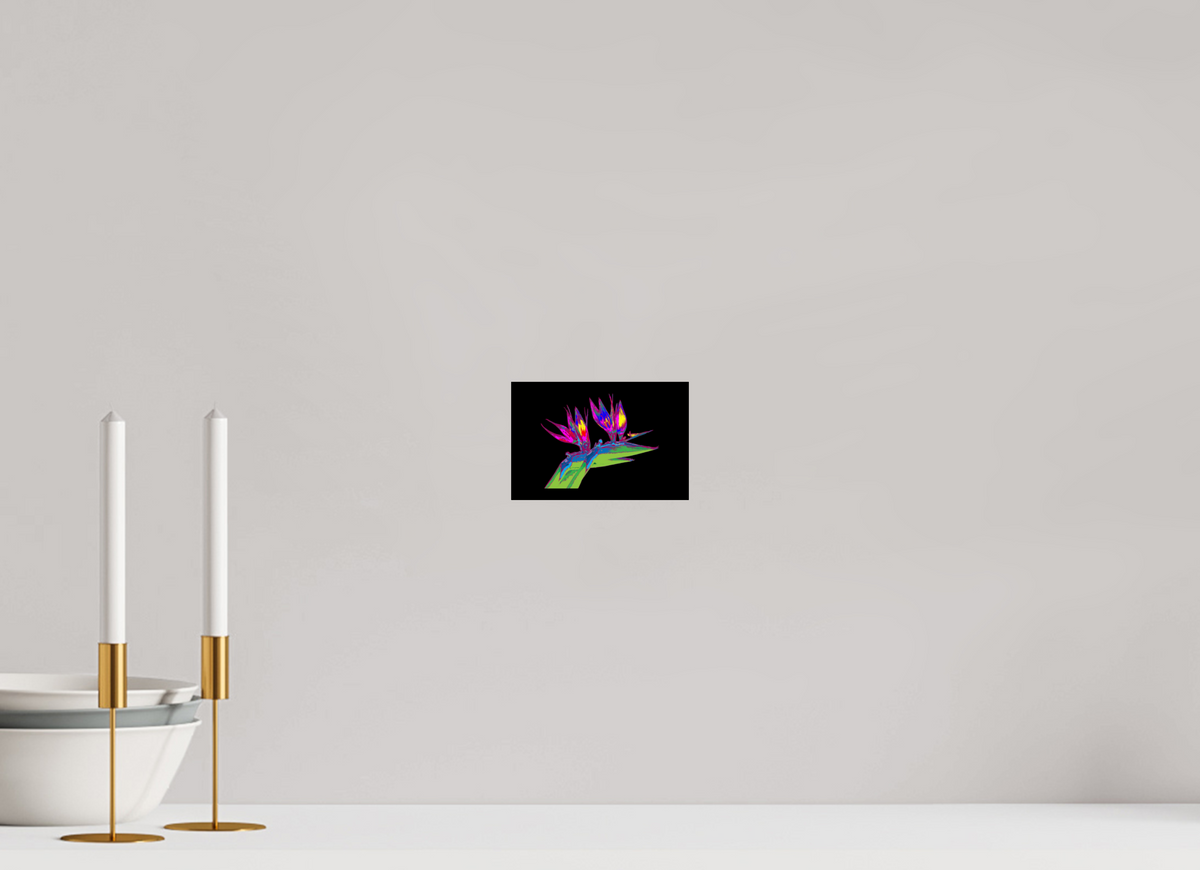 15 x 10 cm, Photo Print Under Acrylic Glass Papageienblume
