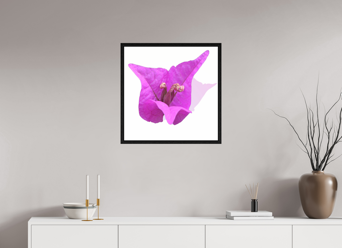 60 x 60 cm, Floater Frame 330 Rosa Dreispitz