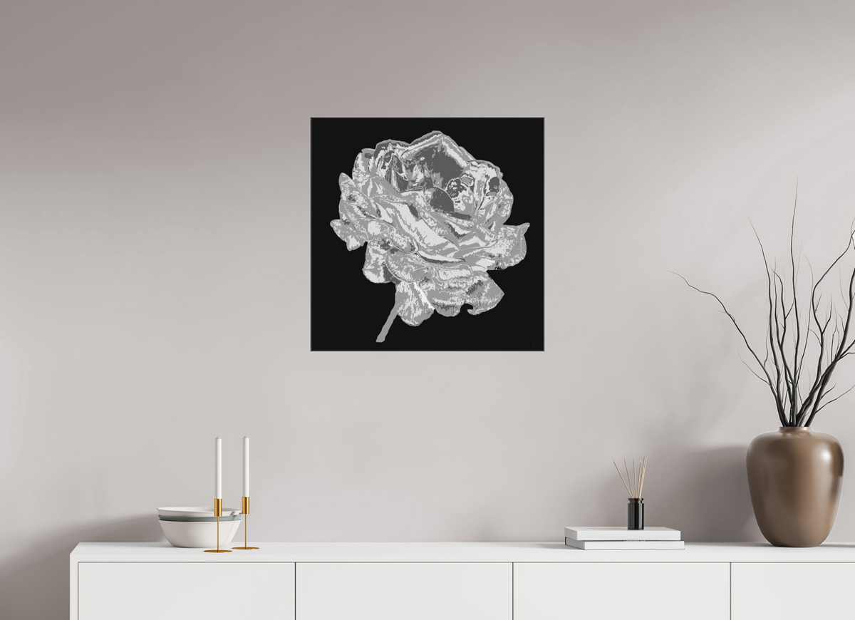 60 x 60 cm, Ilford sw Papier, Acryl glänzend, SlimLine schwarz 341 Graue Rose