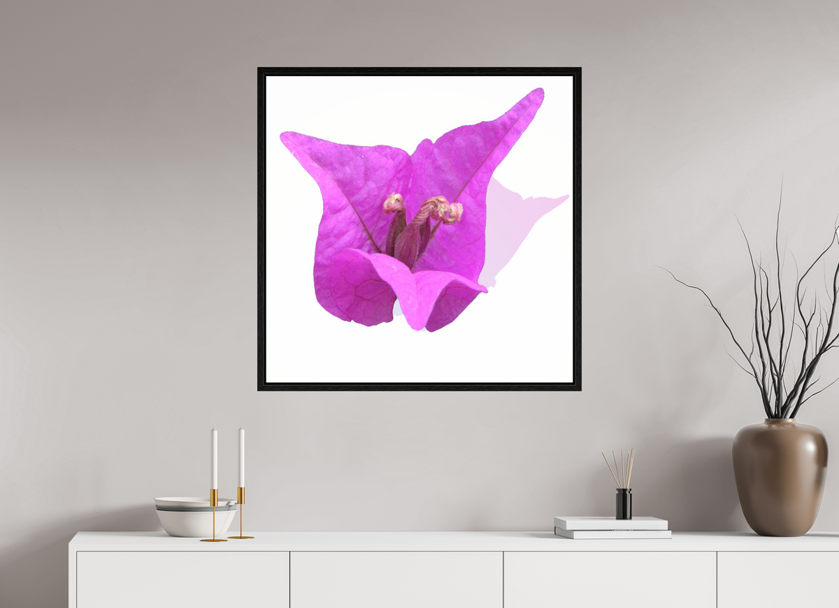 80 x 80 cm, Floater Frame 330 Rosa Dreispitz