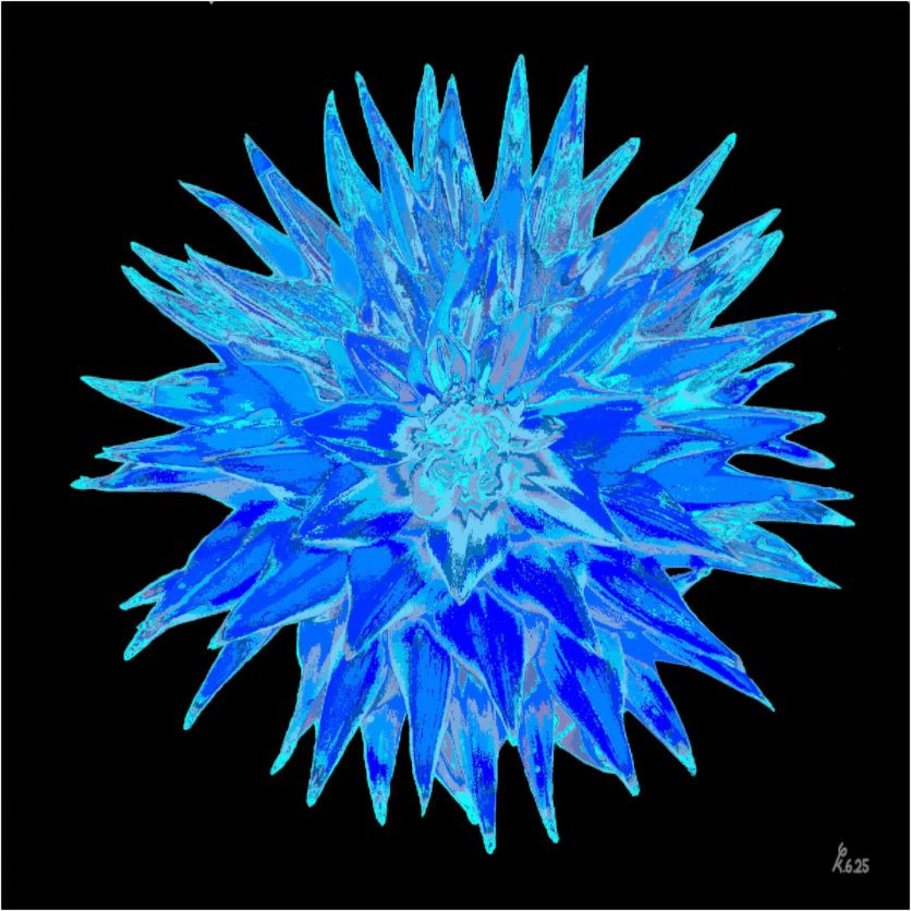 Main image Blaue Dahlie