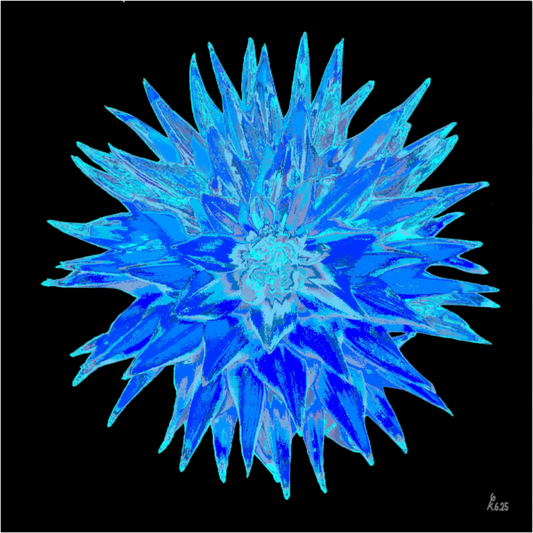 Main image Blaue Dahlie