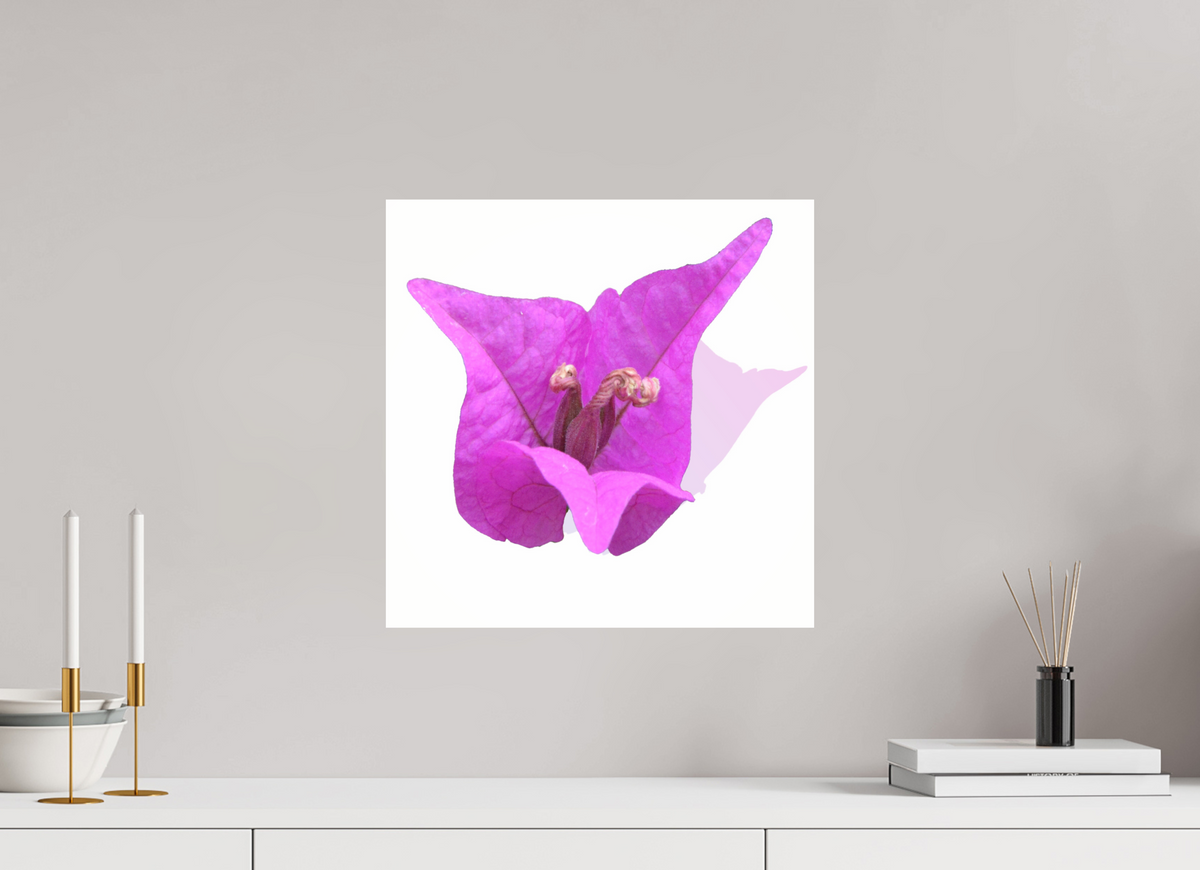 40 x 40 cm, Photo Print Under Acrylic Glass 330 Rosa Dreispitz
