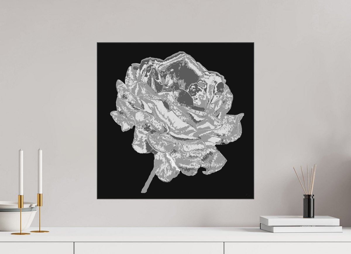 50 x 50 cm, Ilford sw Papier, Acryl glänzend, SlimLine schwarz 341 Graue Rose