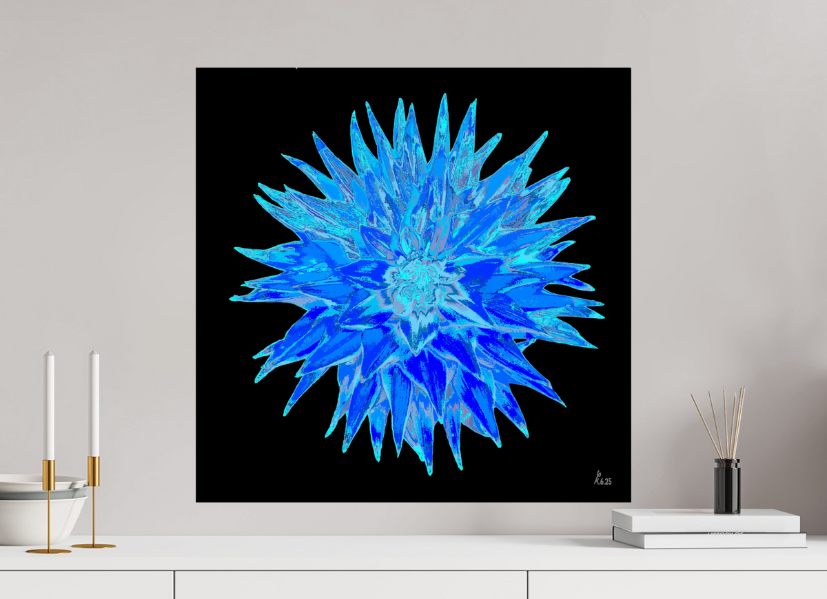 60 x 60 cm, Photo Print On Fuji Crystal DP II Blaue Dahlie