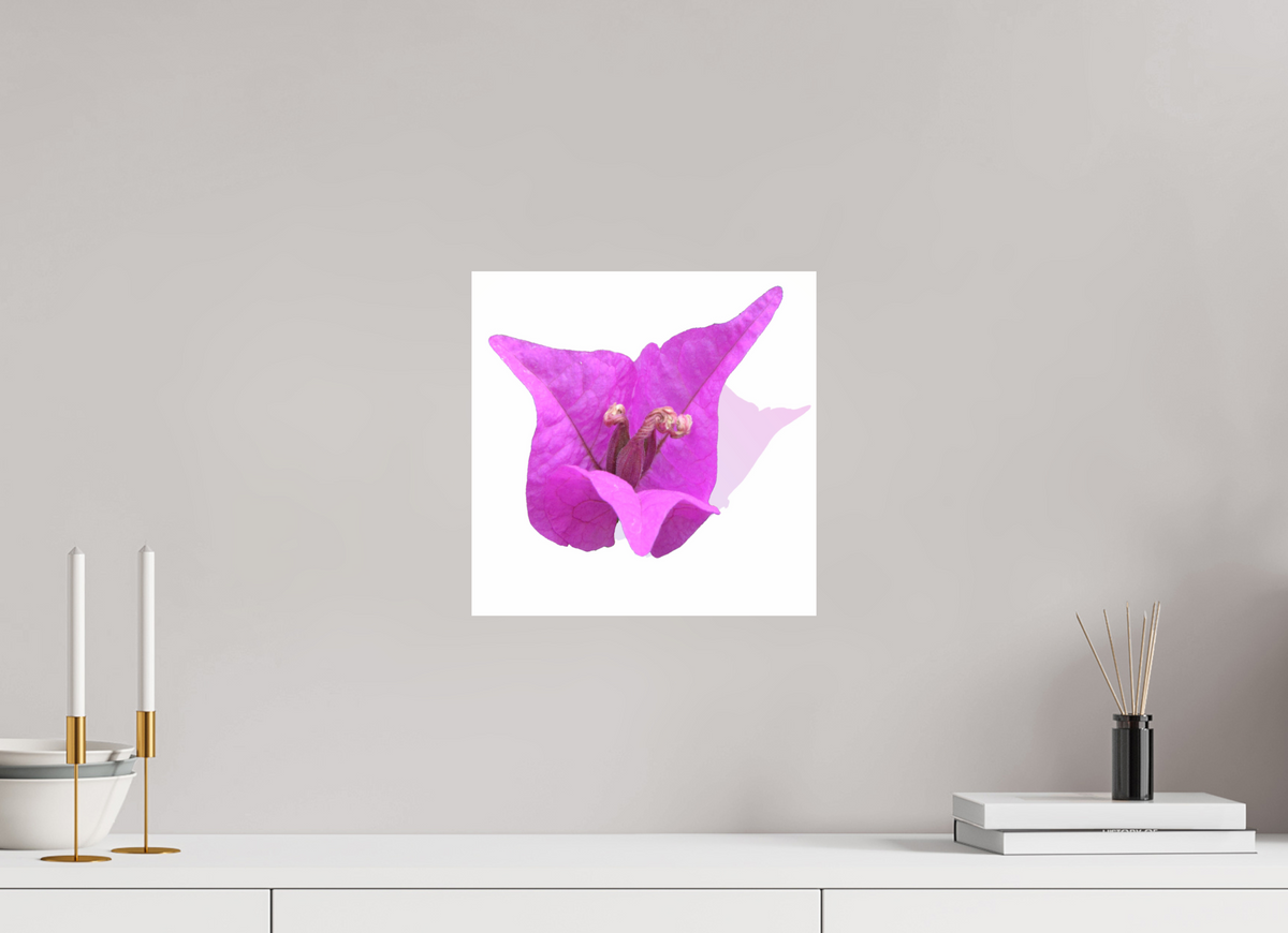 30 x 30 cm, Photo Print Under Acrylic Glass 330 Rosa Dreispitz
