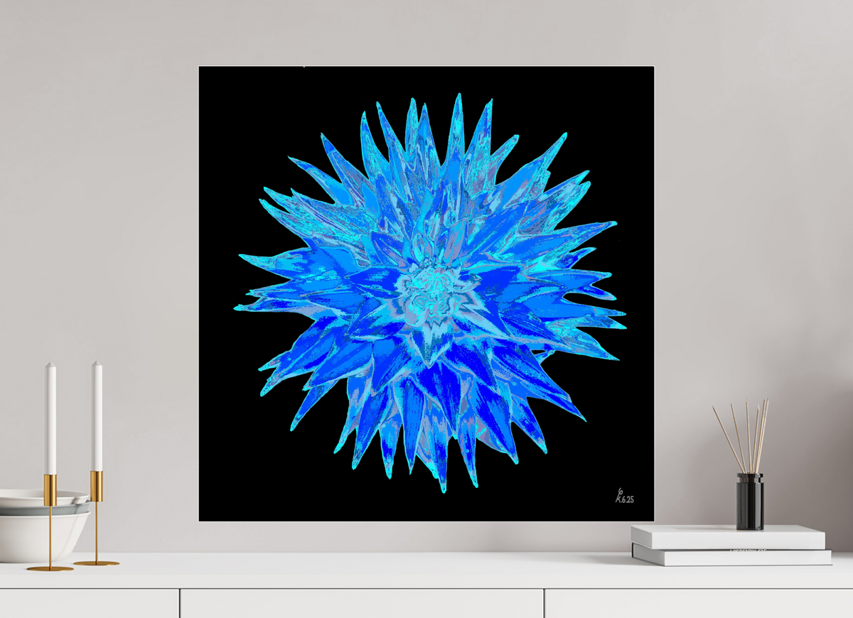 60 x 60 cm, Photo Print Under Acrylic Glass Blaue Dahlie