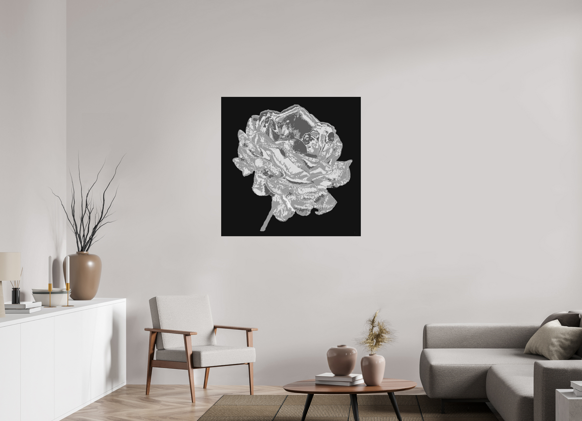 100 x 100 cm, il sw Papier Acryl glänzend 341 Graue Rose