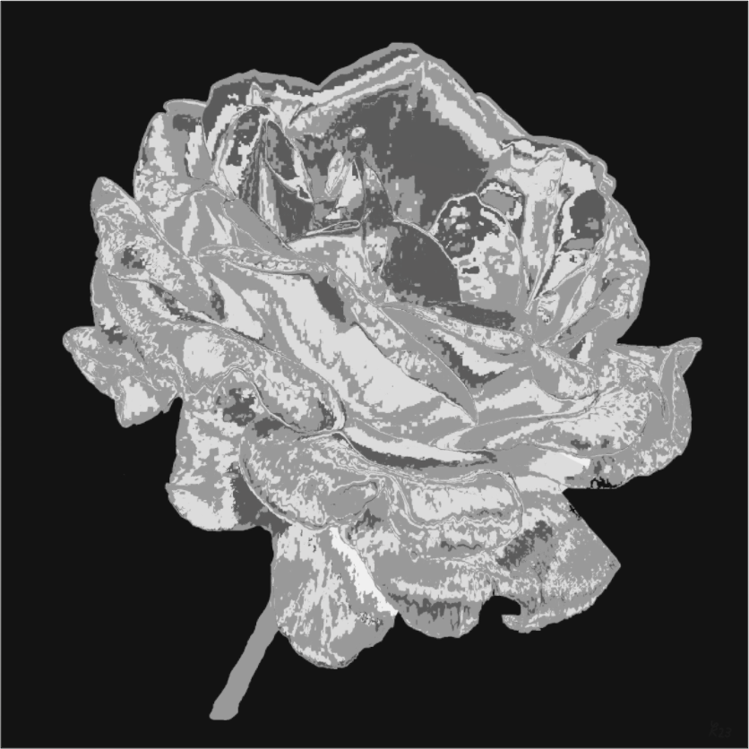 Main image 341 Graue Rose