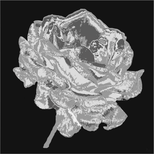 Main image 341 Graue Rose
