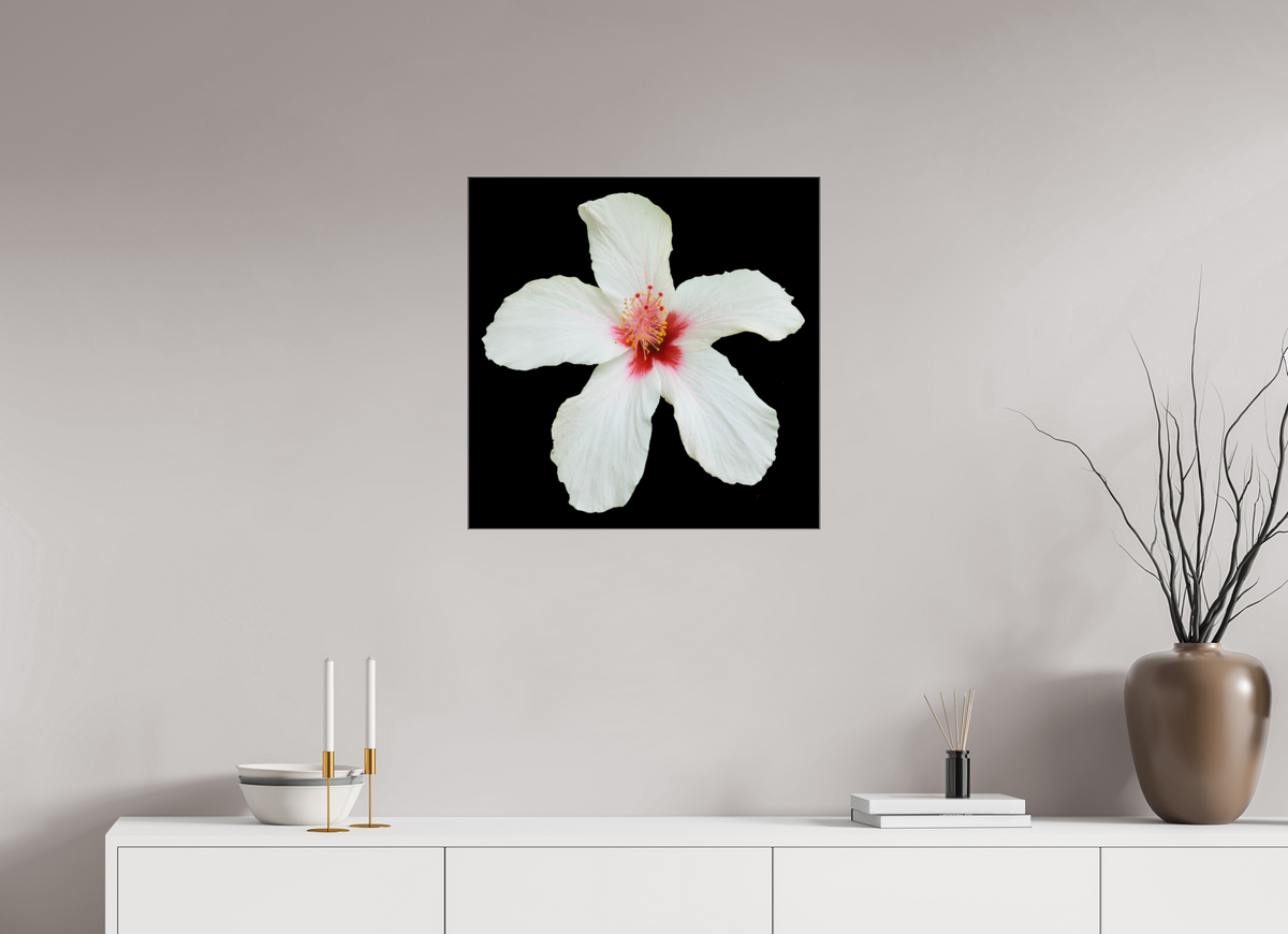 60 x 60 cm, Foto hinter Acryl Glas glänzend, Slim Line schwarz 362 Hibiskus