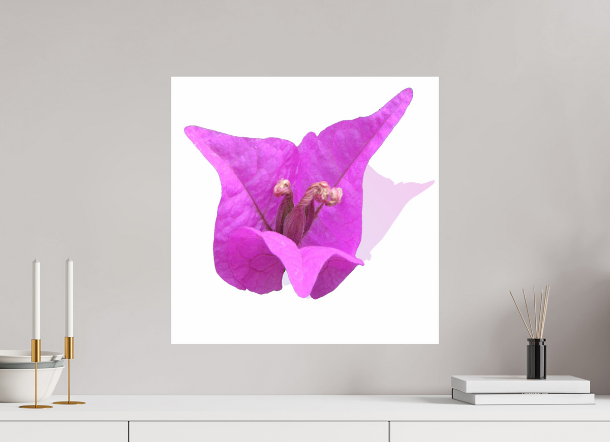 50 x 50 cm, Photo Print On Fuji Crystal DP II 330 Rosa Dreispitz