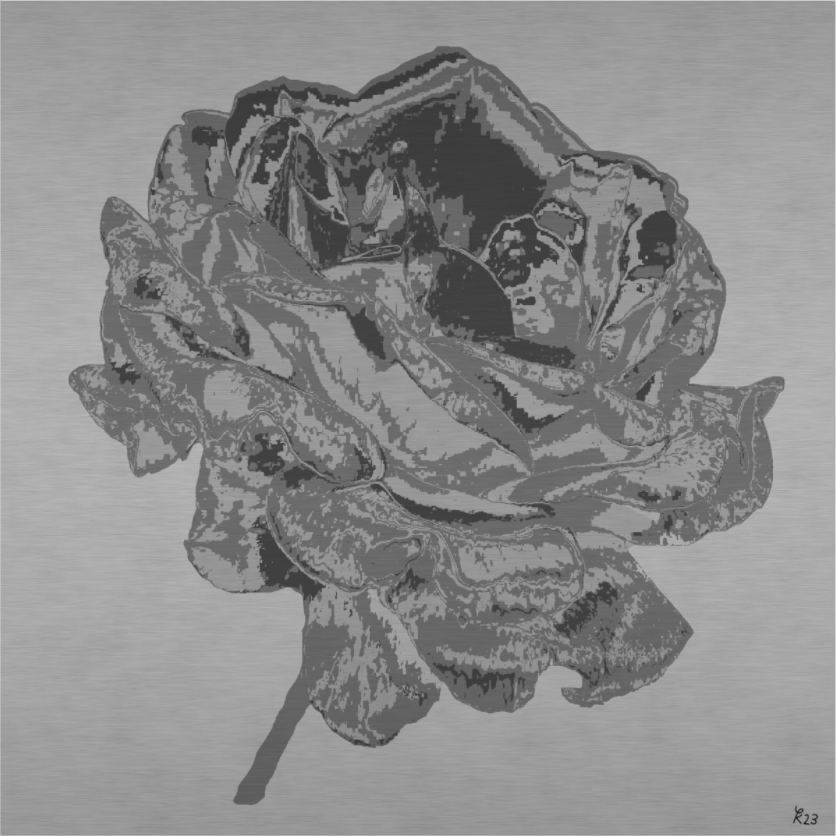 Main image 312 Silberne Rose