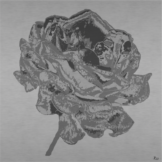 Main image 312 Silberne Rose