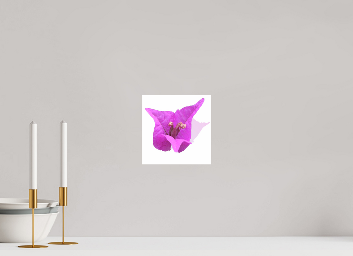 20 x 20 cm, Photo Print On Fuji Crystal DP II 330 Rosa Dreispitz