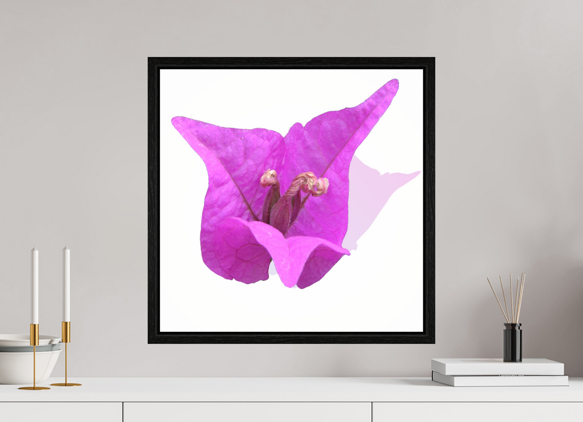 50 x 50 cm, Floater Frame 330 Rosa Dreispitz