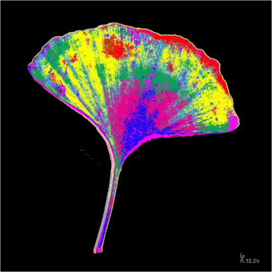 Main image Ginko