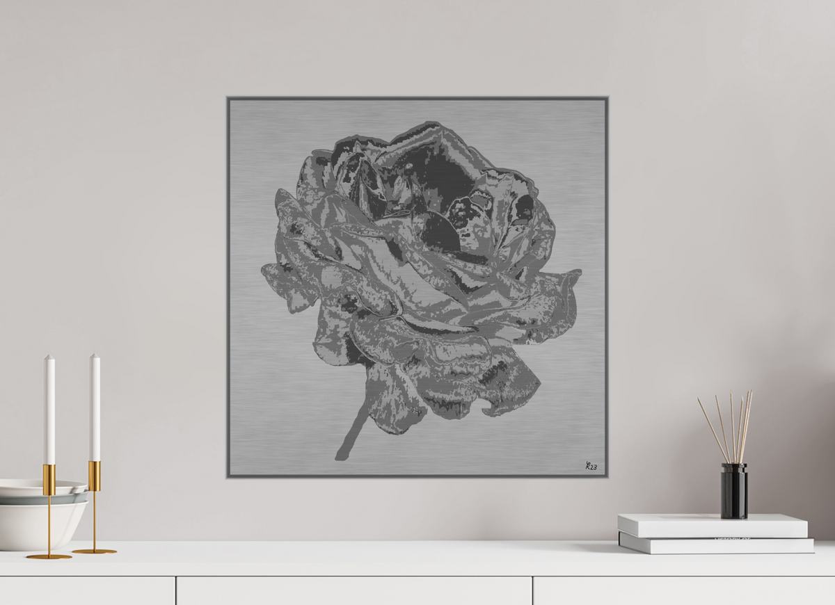 50 x 50 cm, Alu Dibond gebürstet, ArtBox Profiltiefe 25mm Silber 312 Silberne Rose