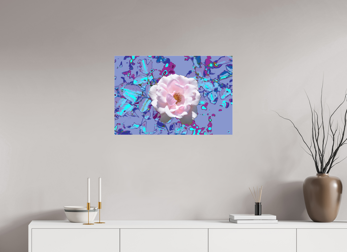 75 x 50 cm, Foto-Abzug hinter Acrylglas matt 311 Abstrakte Rose