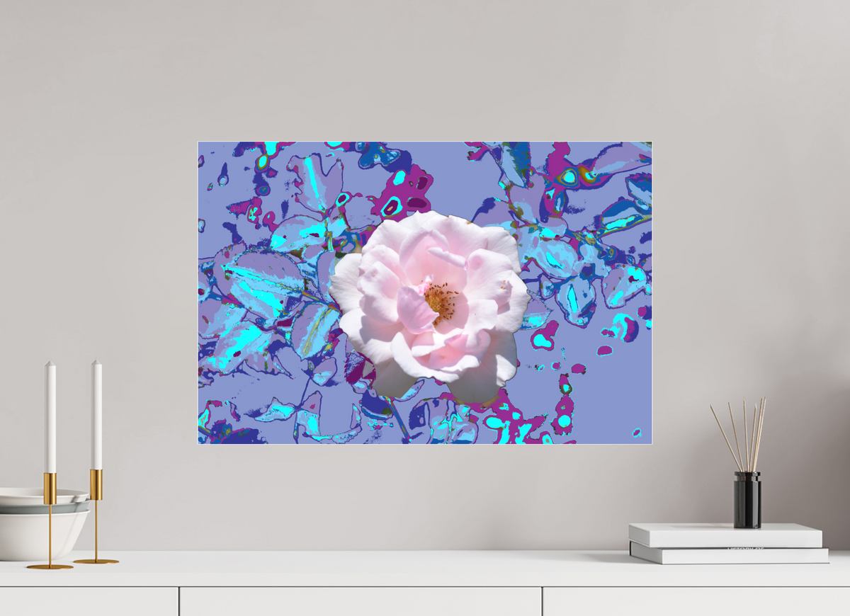 60 x 40 cm, Foto-Abzug hinter Acrylglas matt 311 Abstrakte Rose