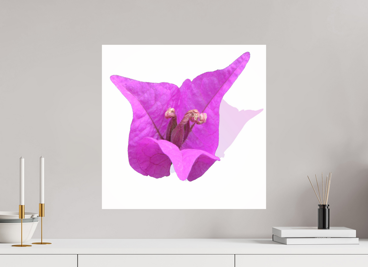50 x 50 cm, Photo Print Under Acrylic Glass 330 Rosa Dreispitz